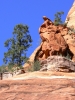 PICTURES/Vultee Arch Trail - Sedona/t_Rock1.JPG